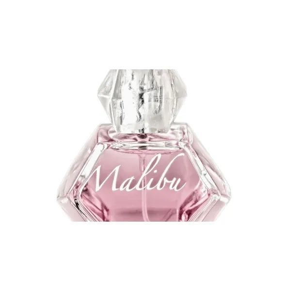 Malibu Night by Pamela Anderson